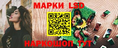 винт Будённовск