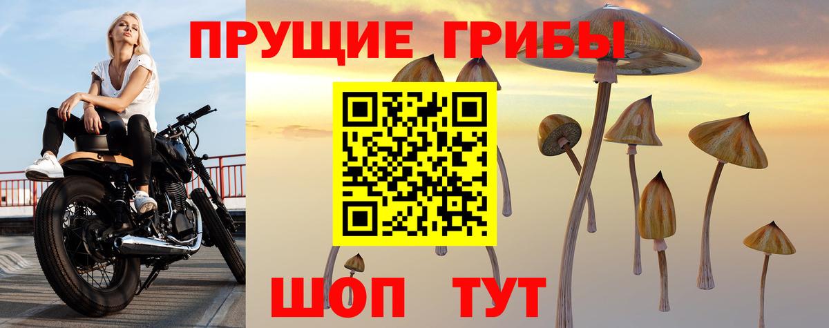 Галлюциногенные грибы GOLDEN TEACHER  Вход с VPN  Верхняя Салда 